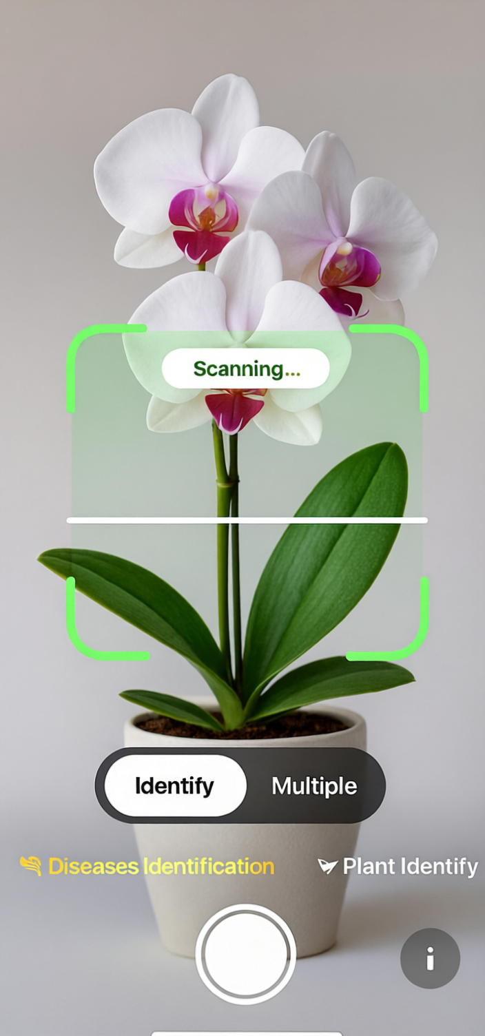 PlantAt app screenshot